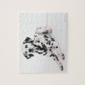 ダルマチア4 ジグソーパズル (縦)