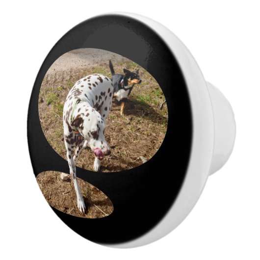 ダルマチア・ポップアウト・アート、 セラミックノブ (右)