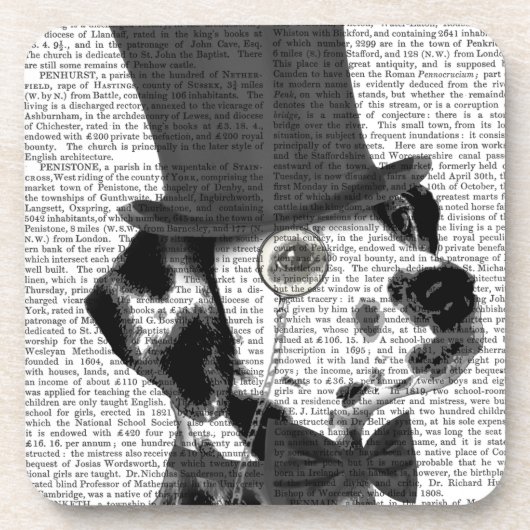 ダルマチフォーマルアン、ハウンド、ハット コースター (正面)