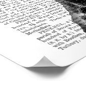 ダルマチフォーマルアン、ハウンド、ハット ポスター (角)