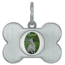 ダルマチ絵画アン犬