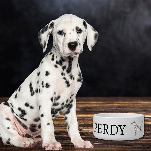 ダルマティアンドグデザインカスタム ボウル (クリエイターアップロード済み)