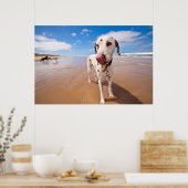 ダルマティアンドッグオンビーチ ポスター (キッチン)