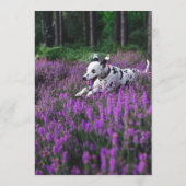 ダルマティアンバー メニュー (裏面)