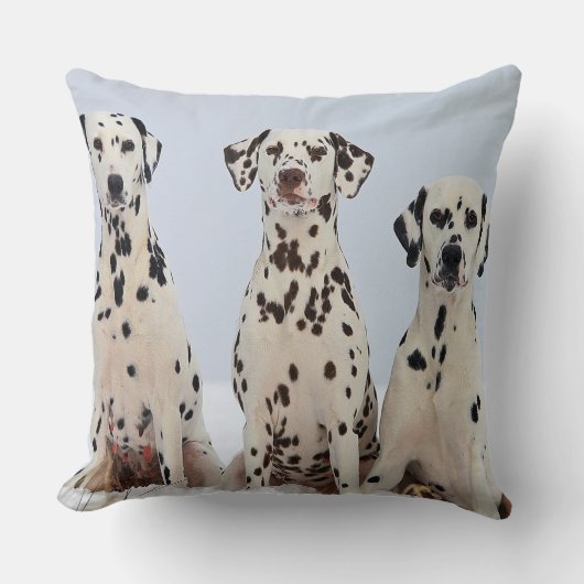 ダルマティアンファミリーポートレート クッション (正面)