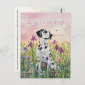 ダルマティアンポストクロッシング – ポストカード (正面/裏面)