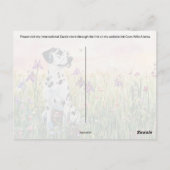 ダルマティアンポストクロッシング – ポストカード (裏面)