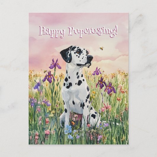 ダルマティアンポストクロッシング – ポストカード (正面)