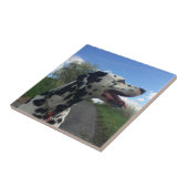 ダルマティアン犬オン歩くパス、晴れの日 タイル (側面)