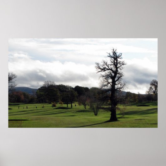 ダルマホイ ポスター (正面)