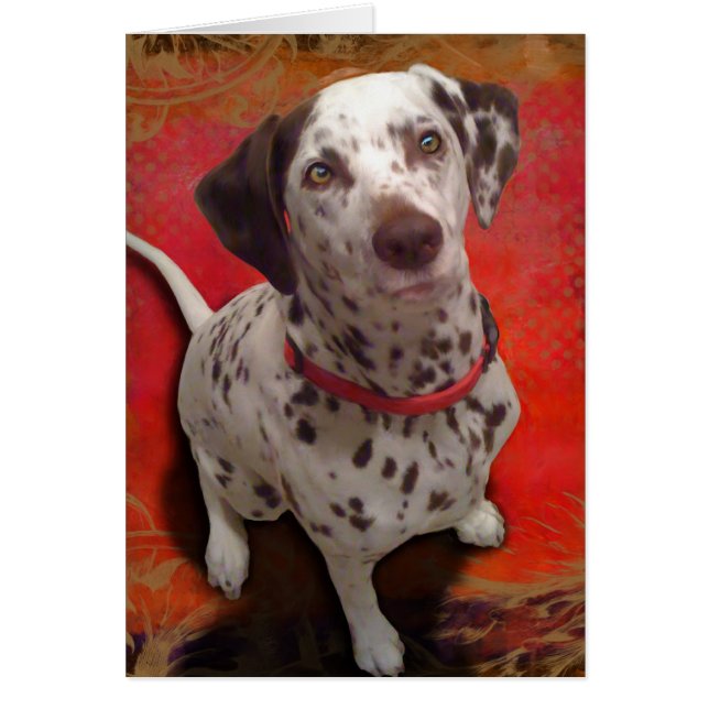 ダルマ人 (正面)