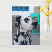 ダルマ人 カード (黄色い花)