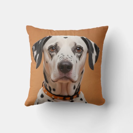 ダルマ人 クッション (裏面)