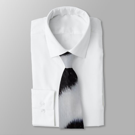 ダルマ人 ネクタイ (タイ)