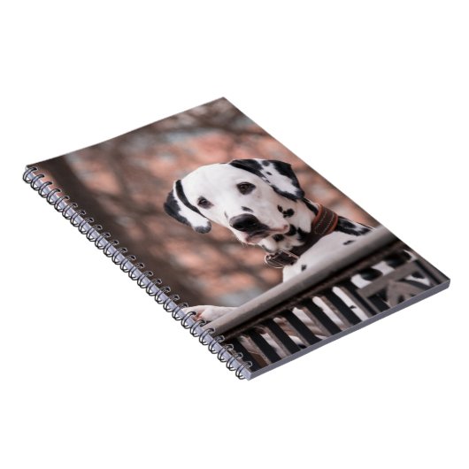 ダルマ人 ノートブック (右側)