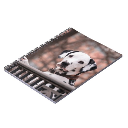 ダルマ人 ノートブック (左側)