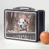 ダルマ人 メタルランチボックス (インサイチュ)