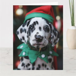 ダルマ小妖精や小人子犬クリスマスカード カード