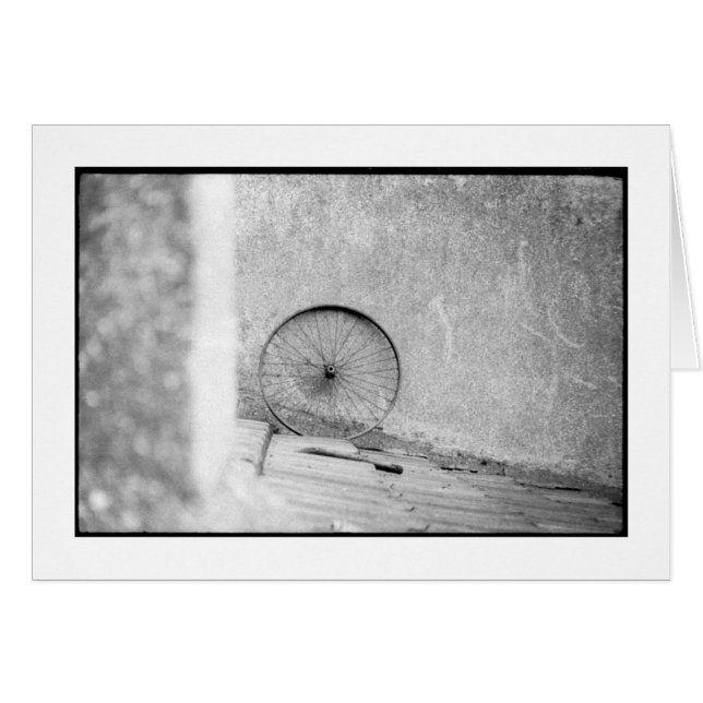 ダルマ (正面横)