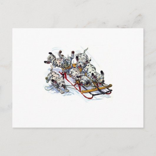 ダルメシアンの子犬がスノースレッジに乗っている ポストカード (正面)