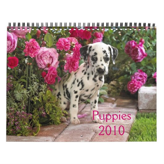 ダルメシアンカバー、Puppies2010 カレンダー (カバー)