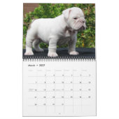 ダルメシアンカバー、Puppies2010 カレンダー (3月 2027)