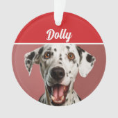 ダルメシアン犬の名前の写真 ホリデークリスマス オーナメント (正面)