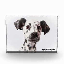 ダルメシアン犬 フォトブロック