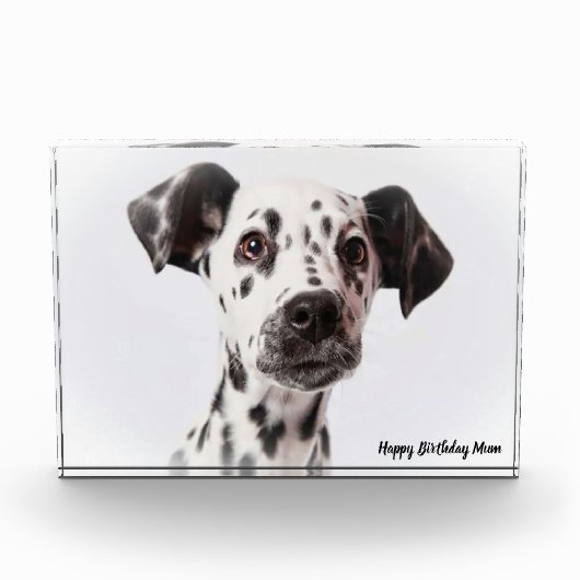 ダルメシアン犬 フォトブロック (正面)