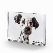 ダルメシアン犬 フォトブロック (右)