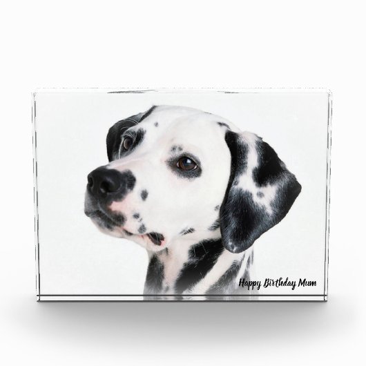 ダルメシアン犬 フォトブロック (正面)