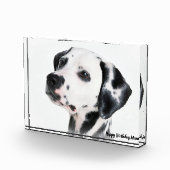 ダルメシアン犬 フォトブロック (右)