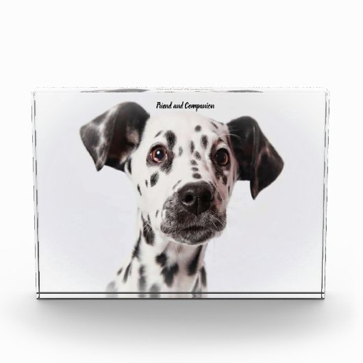 ダルメシアン犬 フォトブロック (正面)