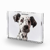 ダルメシアン犬 フォトブロック (右)