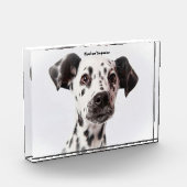 ダルメシアン犬 フォトブロック (左)