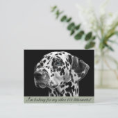 ダルメーションドッグはがき ポストカード (スタンド正面)