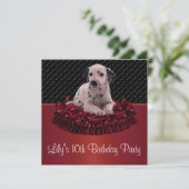 ダルメーションパピーガールズ10thバースデーパーティー 招待状 (スタンド正面)