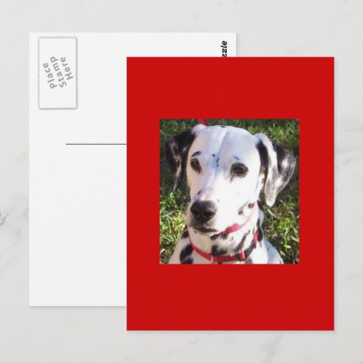 ダルメ ポストカード (正面/裏面)