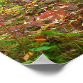 ダルース・ウッズのストリーム ポスター (角)