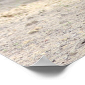 ダレスポニーのポスター ポスター (角)