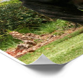 ダレスポニーポスター ポスター (角)