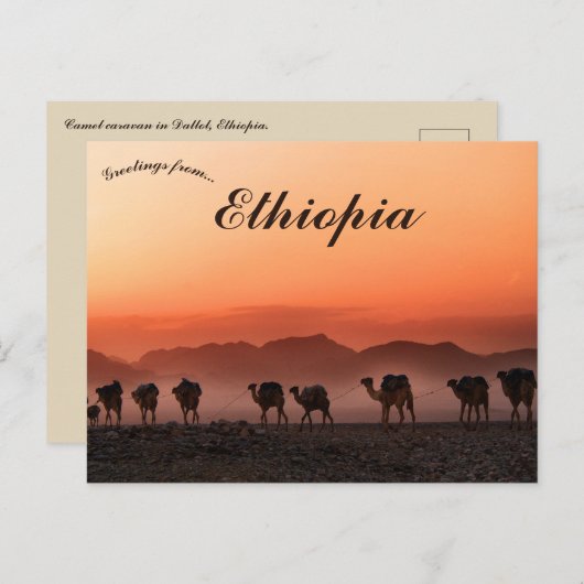 ダロル・エチオピアのラクダ・キャラバン ポストカード (正面/裏面)