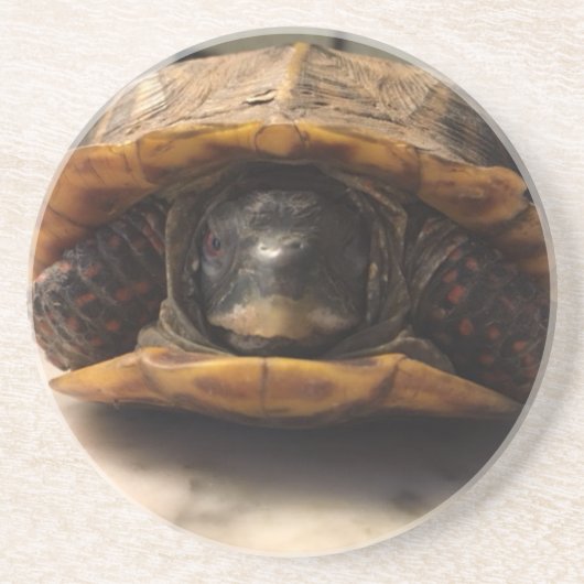 ダンカンのコースター コースター (正面)