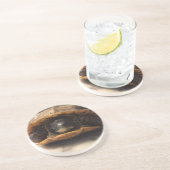 ダンカンのコースター コースター (側面)