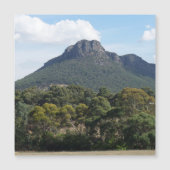 ダンケルト威厳のある磁気カードからの山チョウザメ (正面)