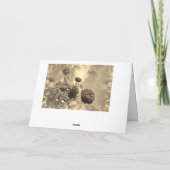 ダンケmit roten Rosen カード (裏面)