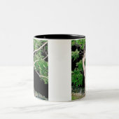 ダンサーの木 ツートーンマグカップ (中央)