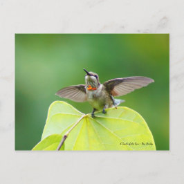 ダンシング＆ハミング！ ポストカード