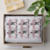 ダンシンバンドオブファルコンランドティッシュペーパー 薄葉紙 (ギフト)