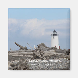 ダンジェンススピットライトハウスマグネット マグネット